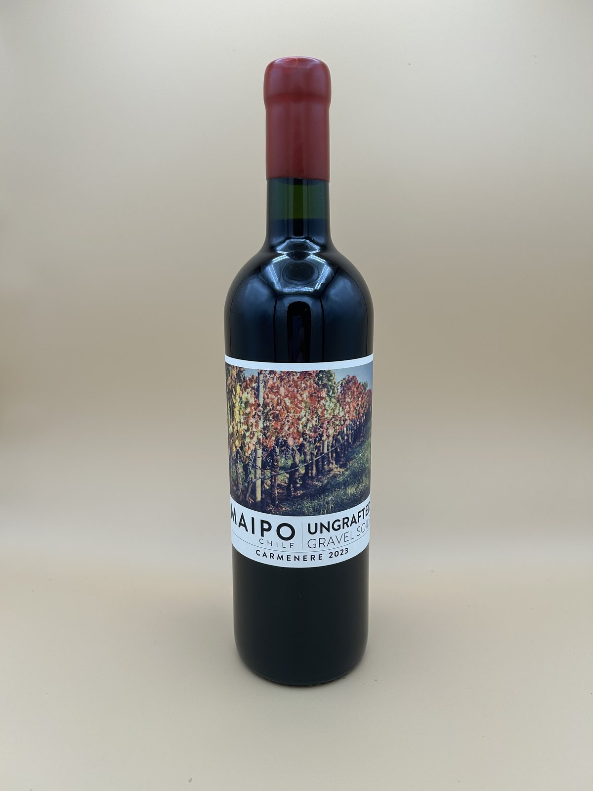 Ungrafted Maipo Carmenere Gravel Soils 2023